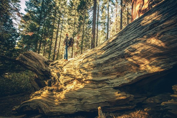 What are the cheapest ways to explore the historic sites of Oxford?