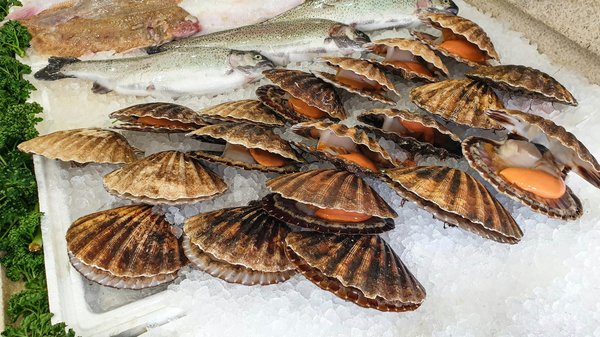 How to secure a holiday rental in Cornwall with access to local seafood markets?